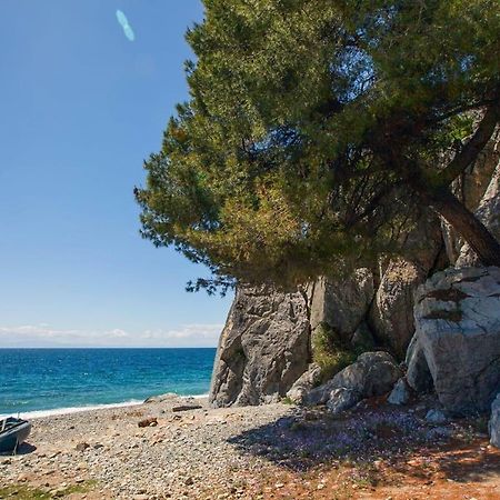 Comfortable Apartment Near The Central Beach Nea Skioni Exteriör bild