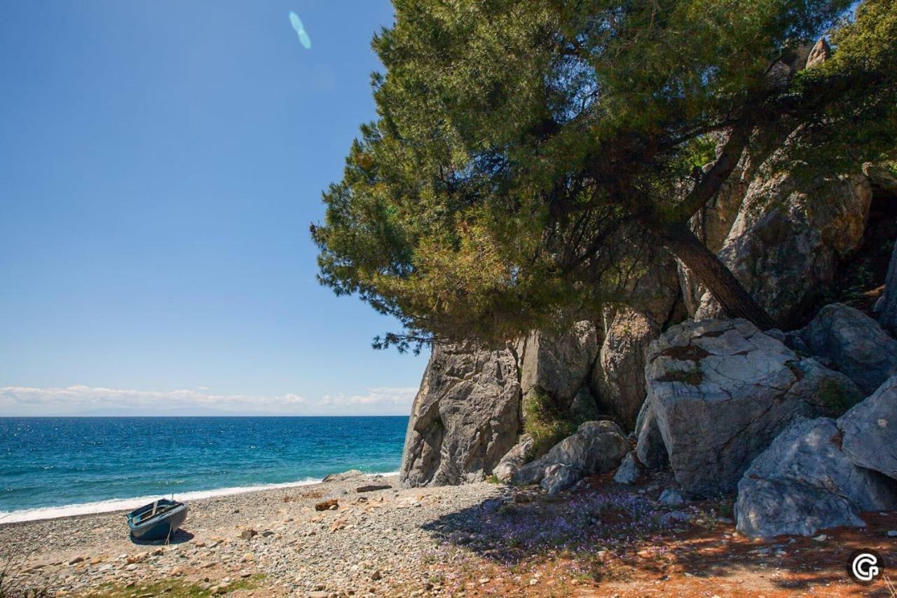 Comfortable Apartment Near The Central Beach Nea Skioni Exteriör bild